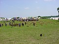 Click to enlarge (64194 bytes)
