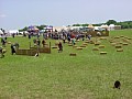 Click to enlarge (62698 bytes)