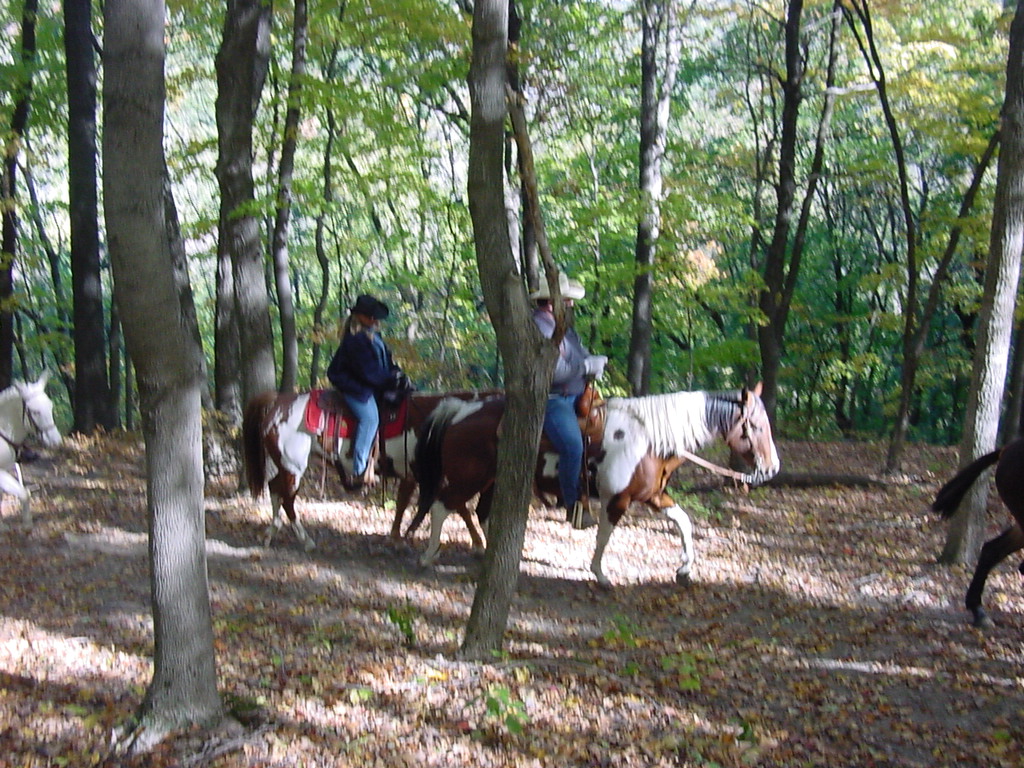 DSC00020