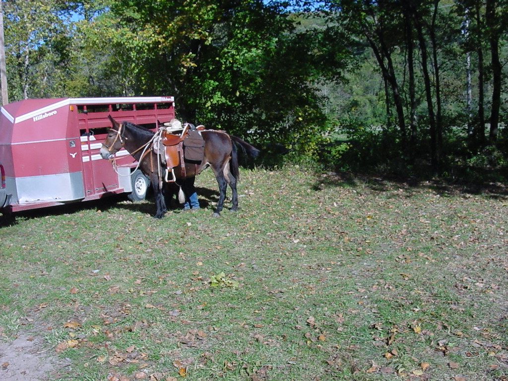 DSC00087