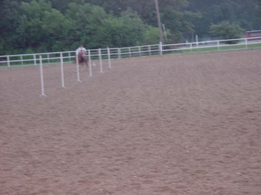 DSC00036