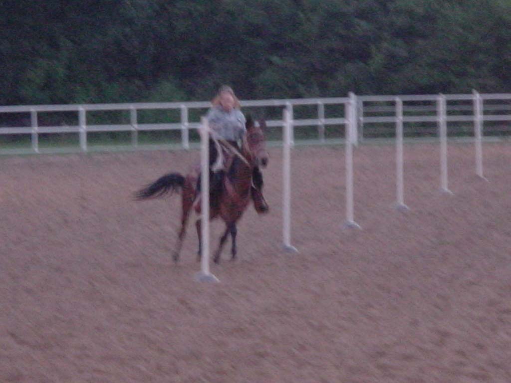 DSC00042