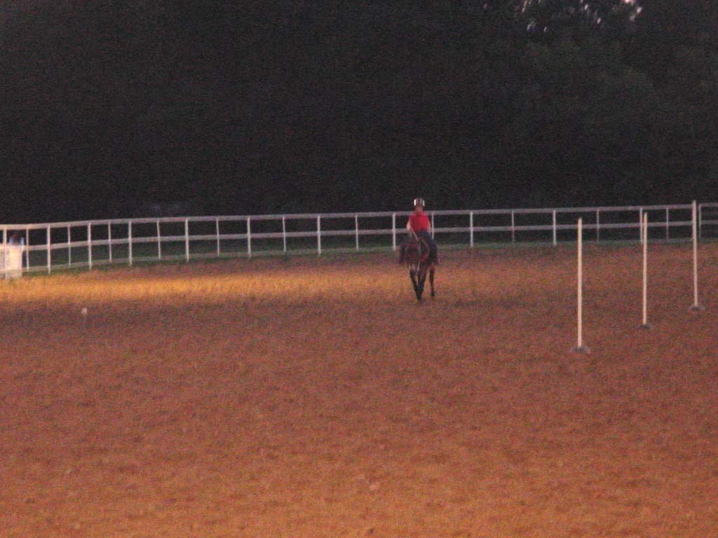 DSC00049