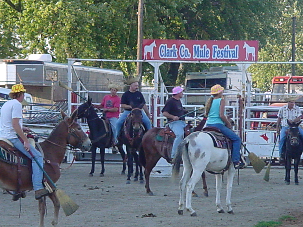 DSC00020
