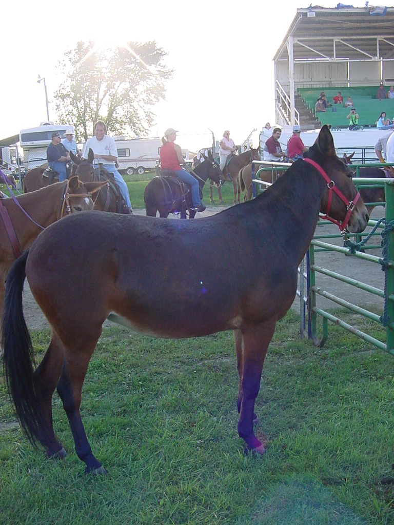 DSC00038
