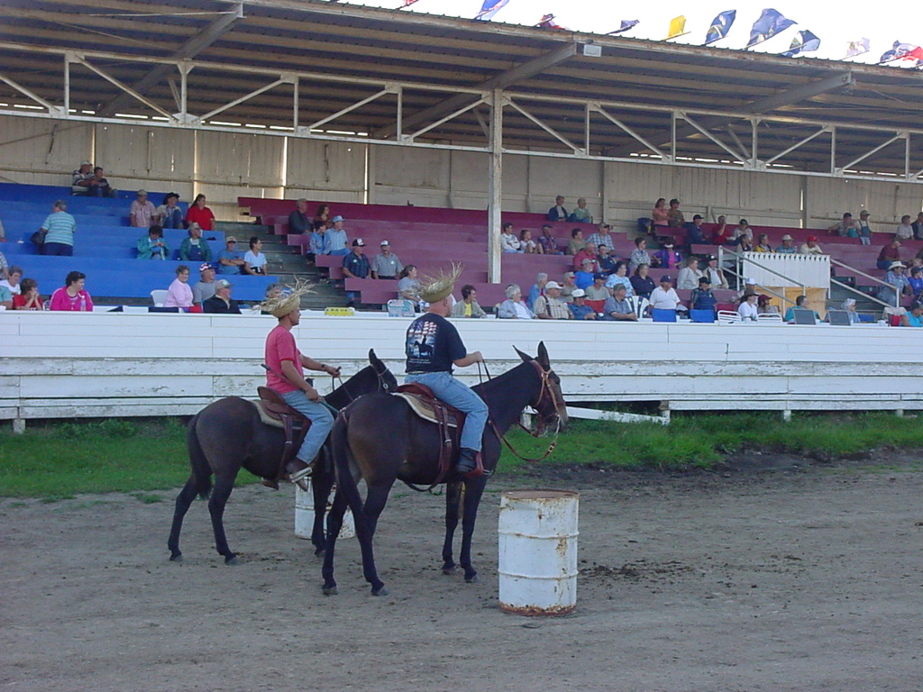 DSC00079