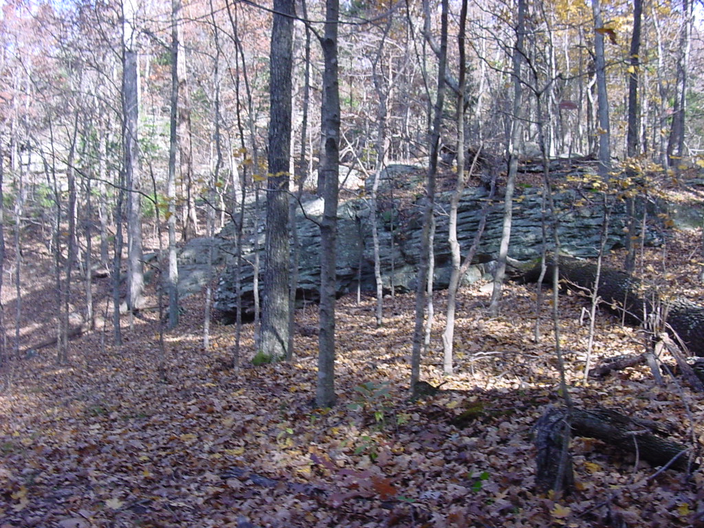 DSC00002