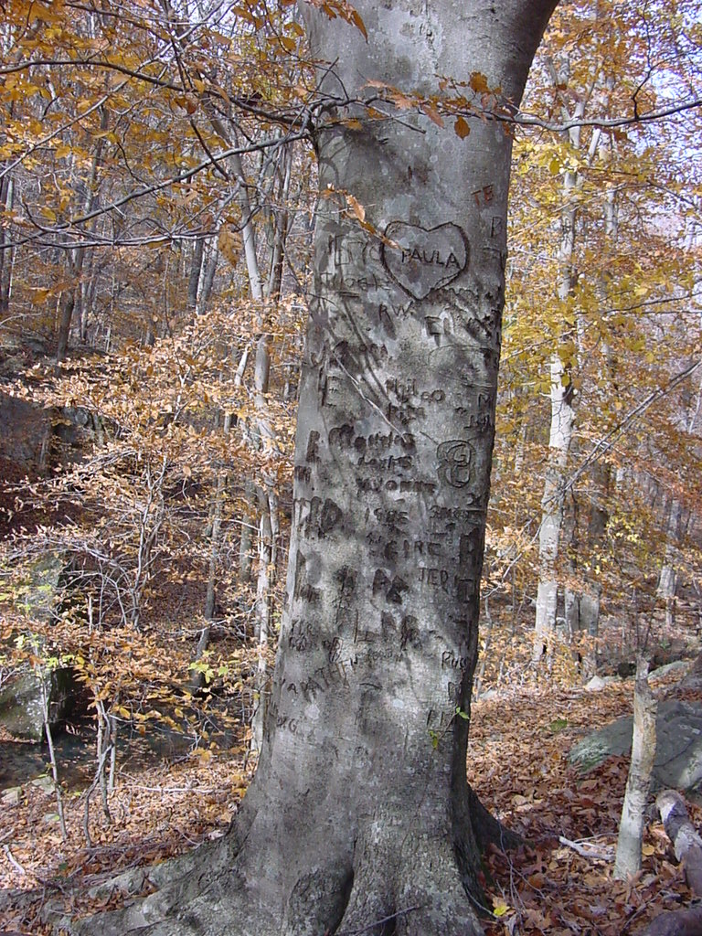 DSC00053