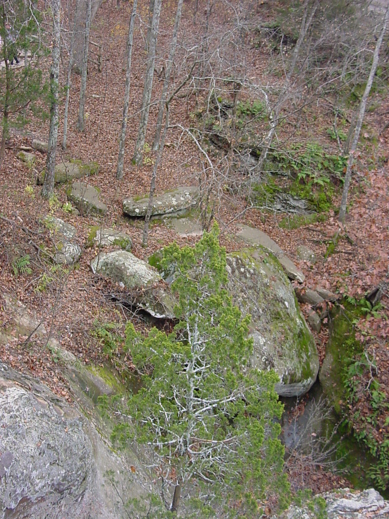 DSC00075