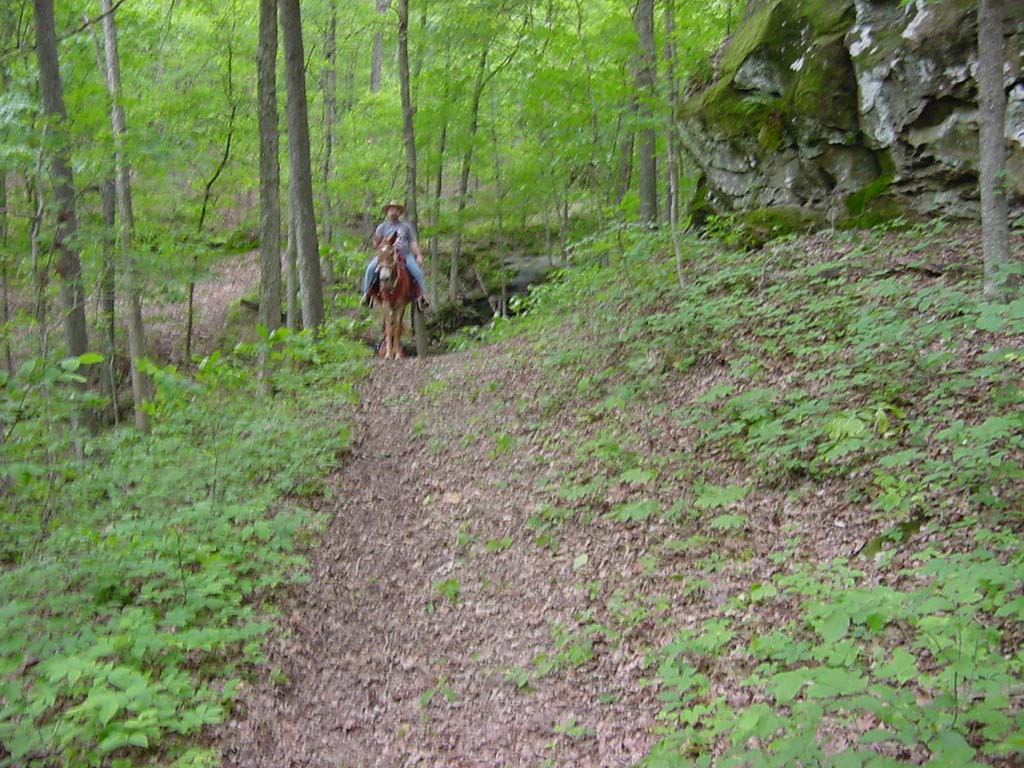DSC00035