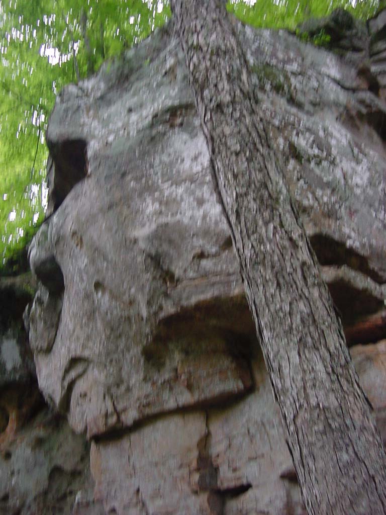 DSC00038