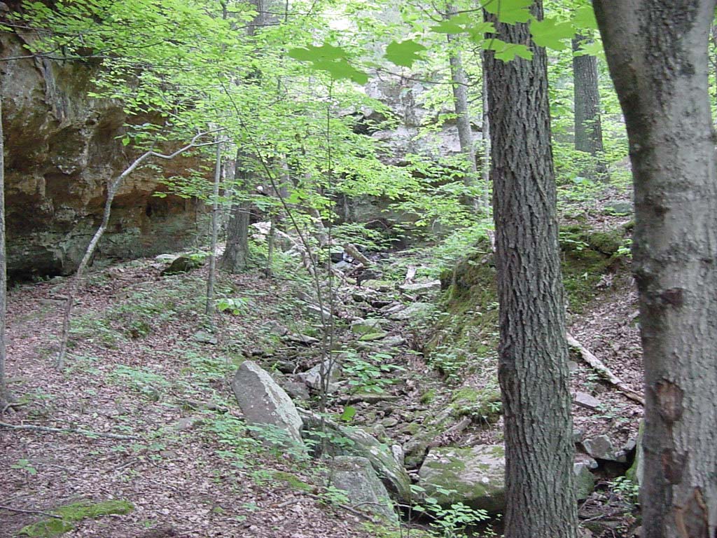 DSC00058