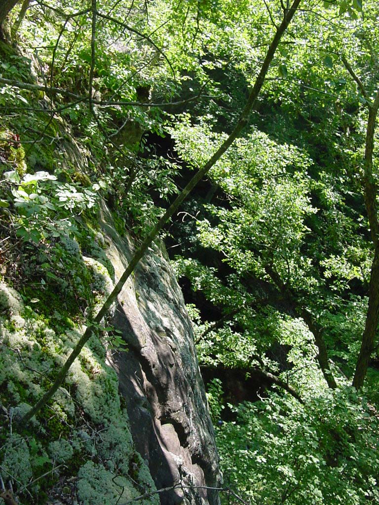 DSC00050