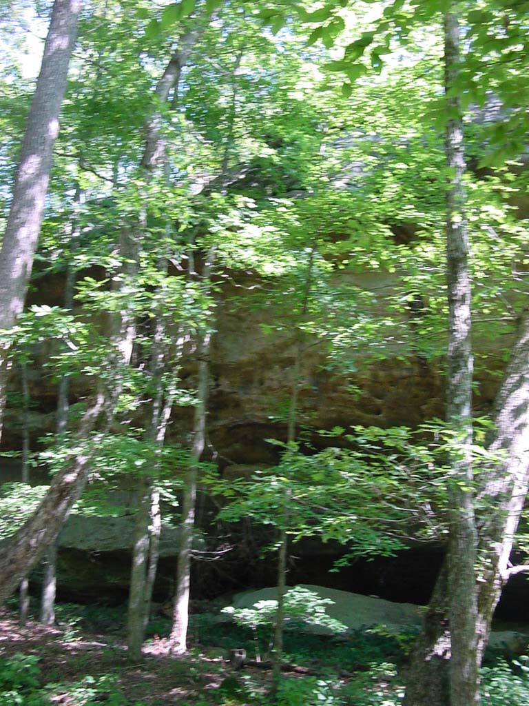 DSC00068