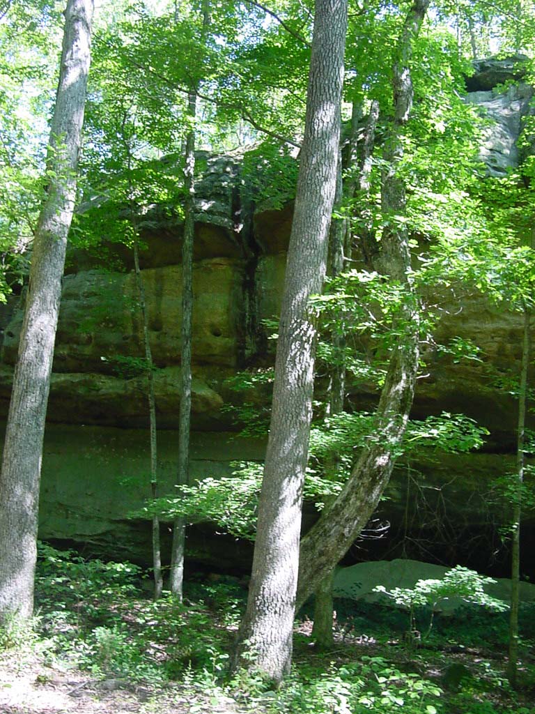 DSC00070