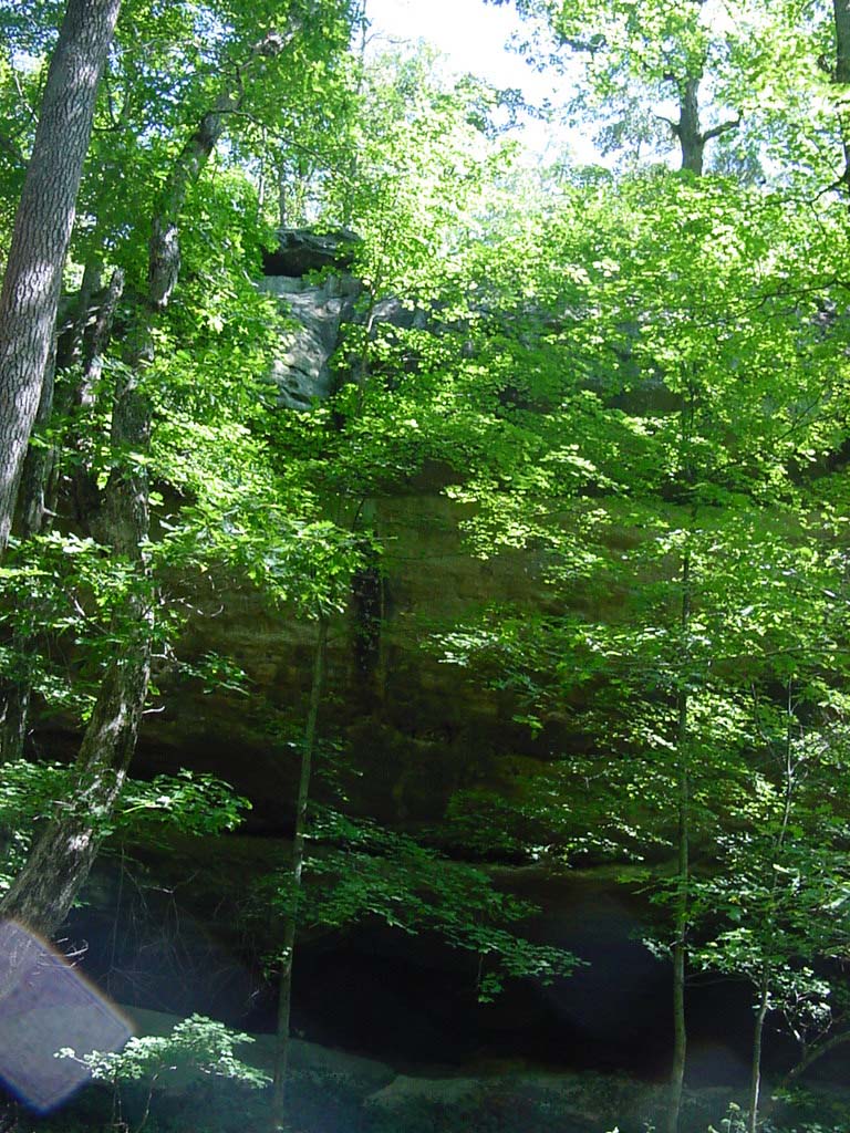 DSC00071