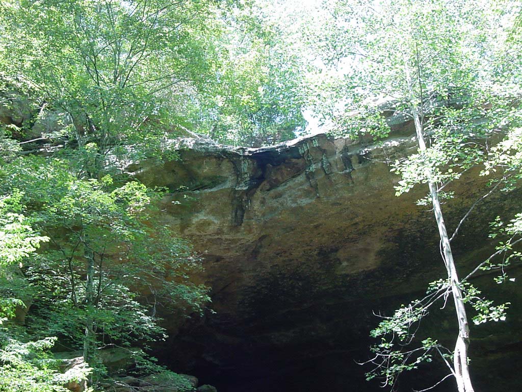 DSC00116