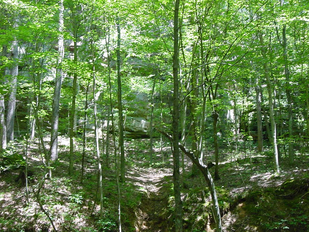DSC00117