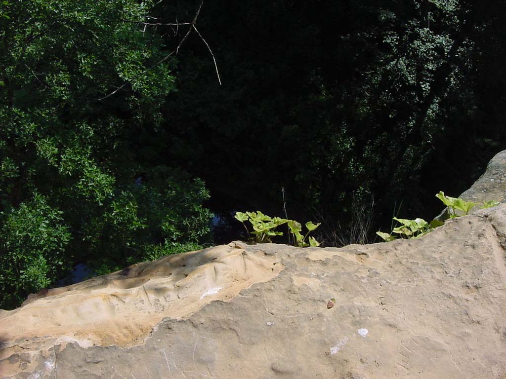 DSC00229