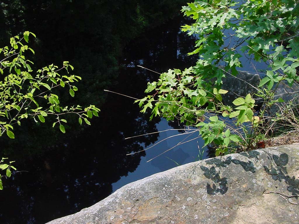 DSC00236