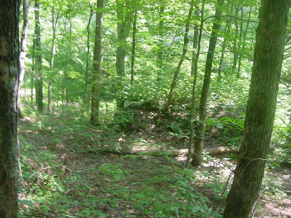 DSC00289