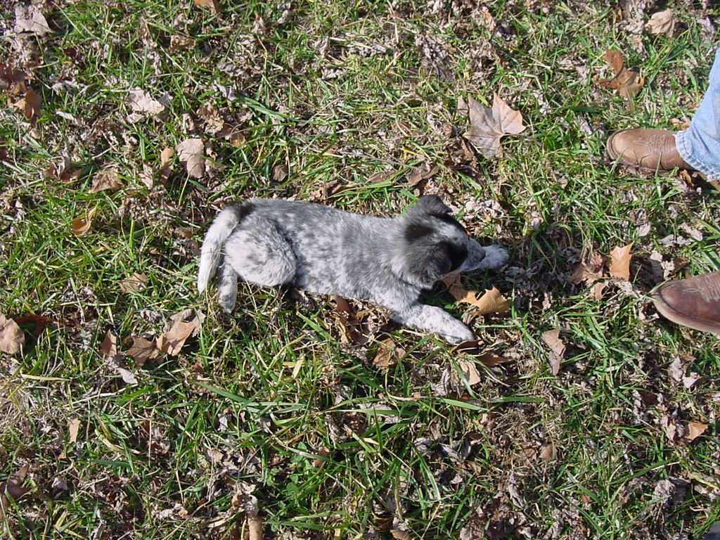 DSC00056