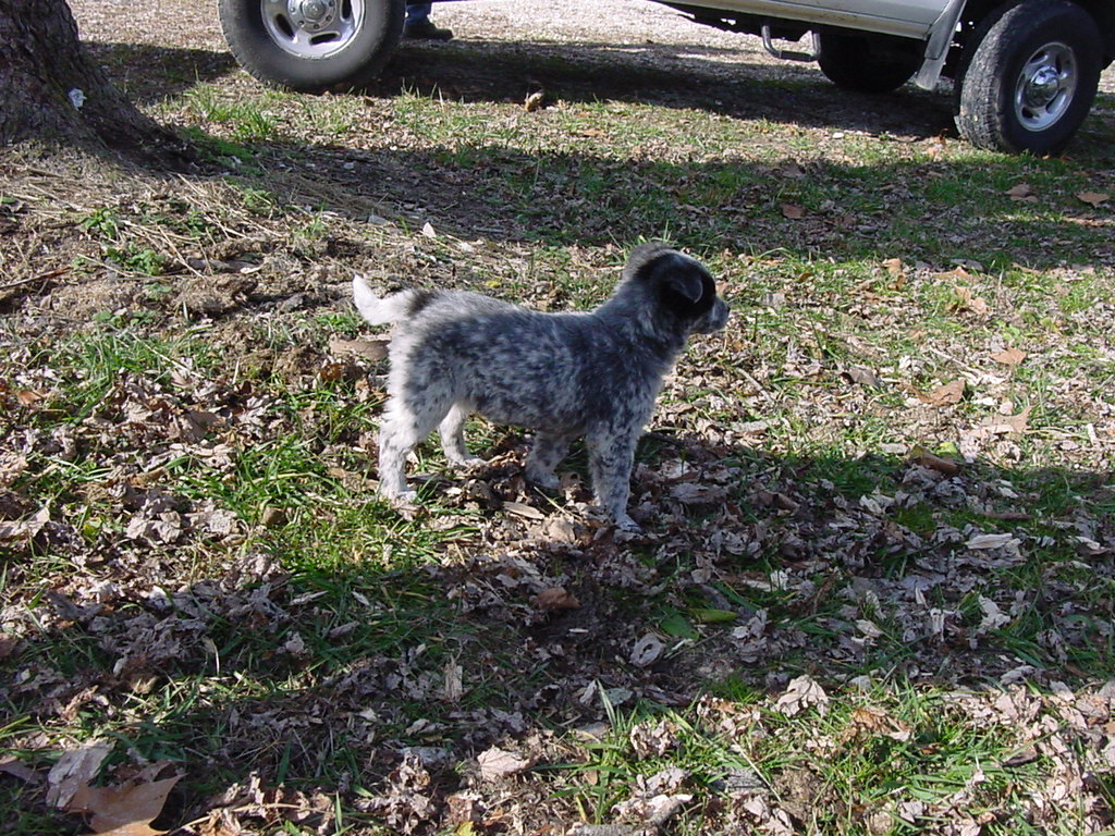 DSC00060