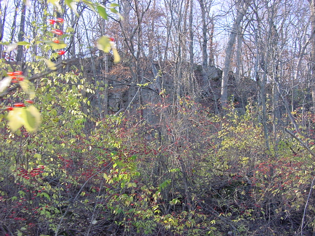 DSC00290