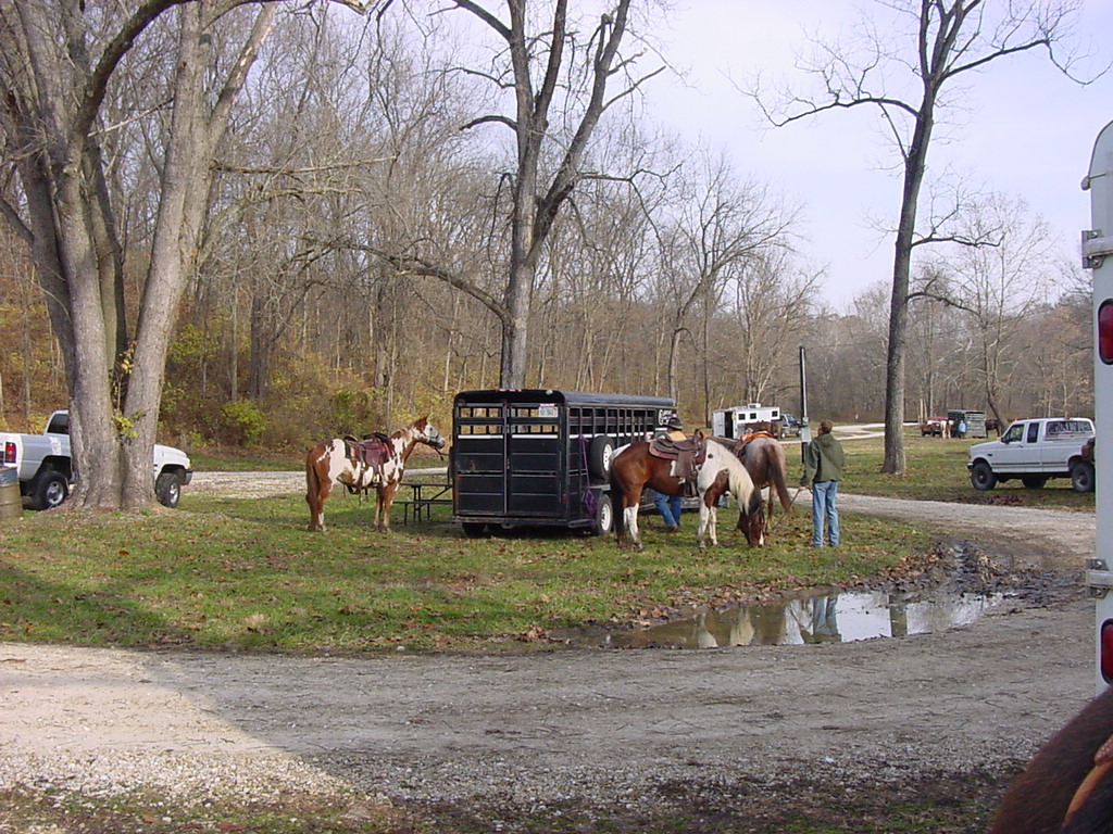DSC00356