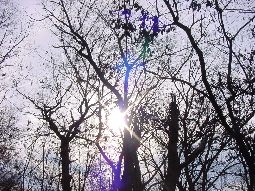 DSC00362