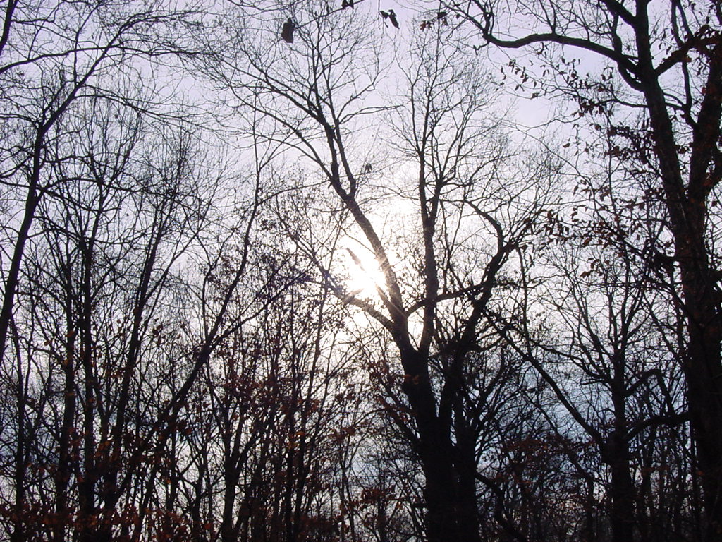 DSC00364