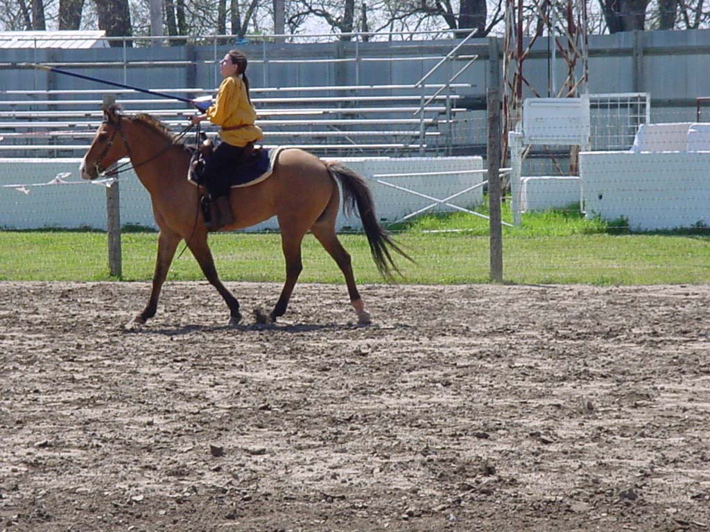 DSC00086