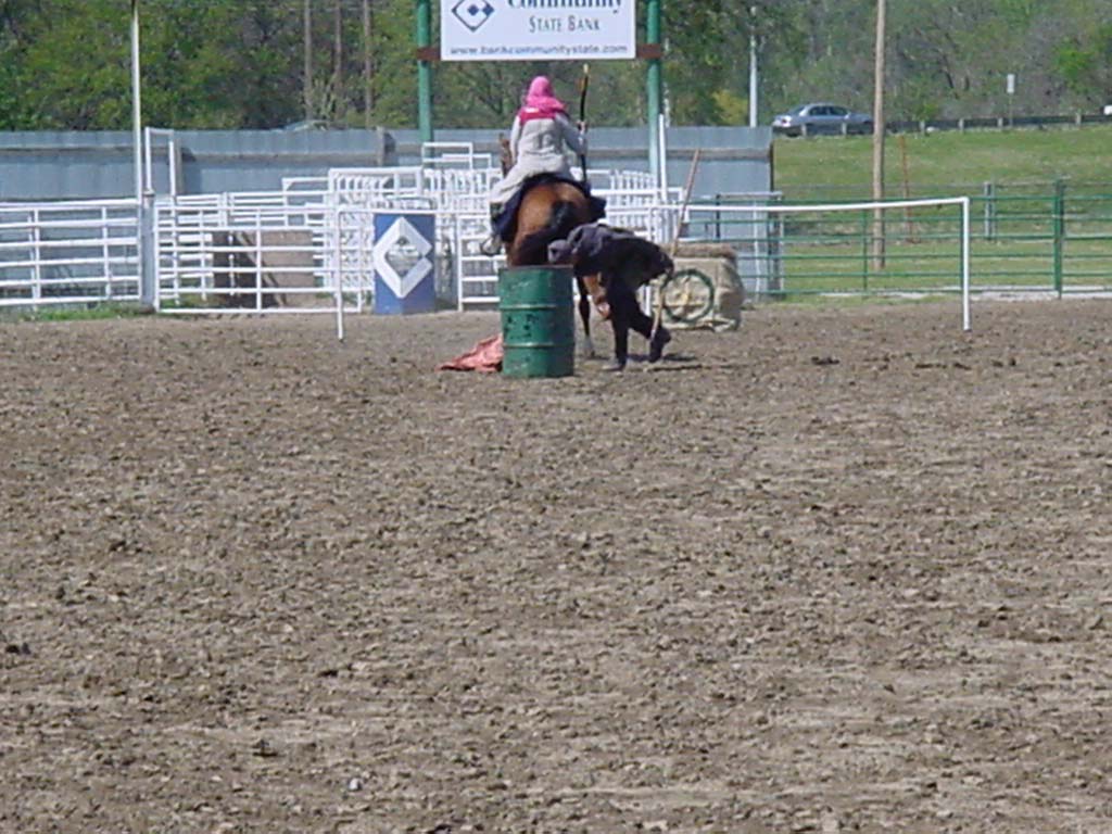 DSC00148
