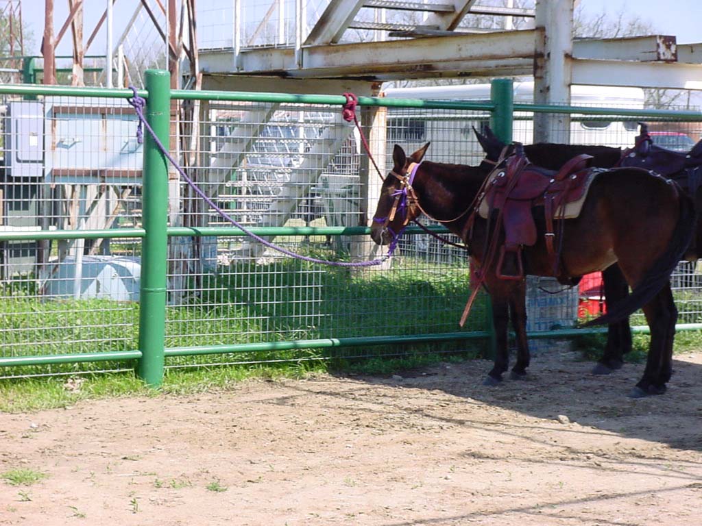DSC00165