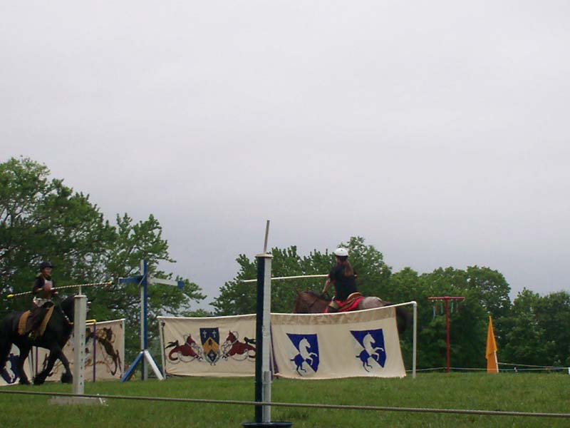 100_0390