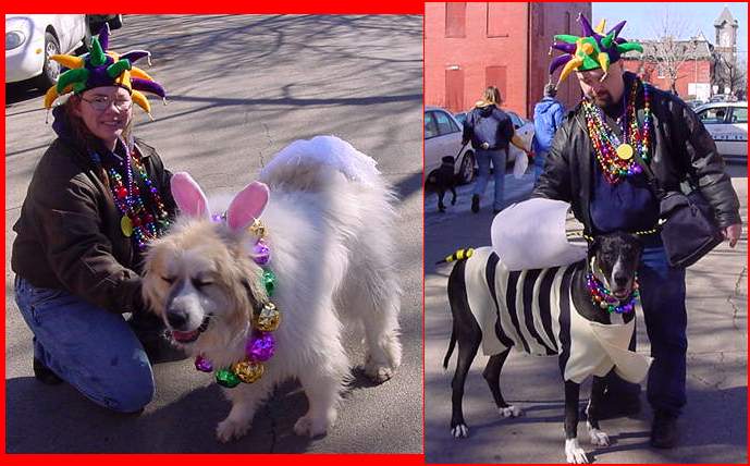 DOGPAR.jpg (55429 bytes)